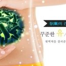 프로바이오틱스(유산균) 이미지