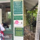 플로리다] 키웨스트 Hemingway Home and Museum 헤밍웨이의 집 입장료, 무료주차 정보 등
