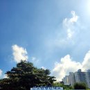 선소관광안내소 이미지