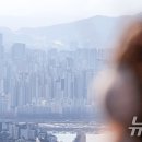 서울 아파트 값 상승 &#39;뚜렷&#39;→&#34;지방·비아파트까지 확산은 무리&#34; 이미지