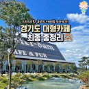 외출하고싶은날 이미지