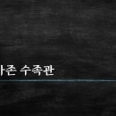 소망열대어수족관