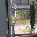 안테나하우스슈퍼