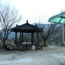 죽전리경로당 Daum카페