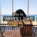 웨일라잇 | 속초오션뷰대형카페 웨일라잇 방문 후기｜바다 보며 즐기는 베이커리 카페