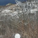 산정원