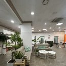 메디칼정성약국 이미지