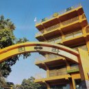 리라초등학교 이미지