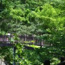 만인산 만인사 | 대전 만인산에 가다!