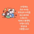 용인대태권도 네이버블로그