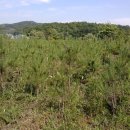 재익농장 이미지