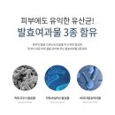 핏에스테틱 네이버블로그