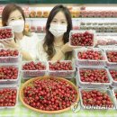 노화농협하나로마트 이미지