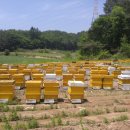 동춘농장 이미지