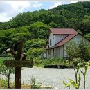 라스텔라편백숲 이미지