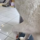 노하에너지 이미지