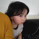 어촌일기 이미지