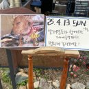 타카카Takaka 이미지