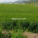 영광공인중개사사무소 이미지