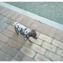 엄마손 동물병원 이미지