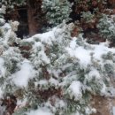 연원농장 이미지