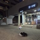 상기농장 | 아기와 함께 2박 3일 울진 여행 후기 (덕구온천 왕피천 공원 아쿠아리움 국립해양과학관 +맛집 정보)