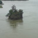 춘자농장 이미지