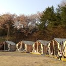 가야랜드달빛야영장 네이버블로그