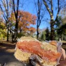 스튜디오 포미 이미지