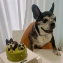 달달한댕 이미지