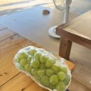 샤인민박 이미지