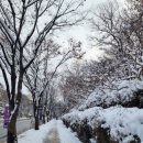 모서리다방 네이버블로그