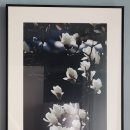 평지2리 노인회관 | 경주 여행 - 천년의 향기 황룡사지 &amp; 4인 전(박수근, 이중섭, 장욱진, 김환기)