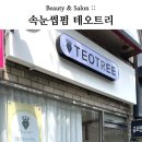 테오트리(teotree)
