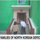 CNN 이미지