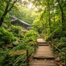 화계사 | 서울둘레길 화계사 구간 사전답사 후기, 초보자도 걷기 좋은 힐링 코스 꿀팁(테스트용)