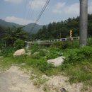 동강막국수