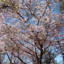 GS25송정해변점 | [부산]해운대 송정-미포 해변열차 4월초 왕복후기