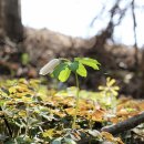 수동중학교 이미지