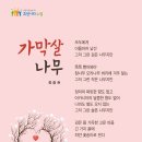 매원초등학교 앞 이미지