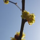 청풍농장 이미지