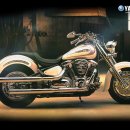 로드스타 이미지