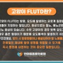 한마음종합동물병원 이미지