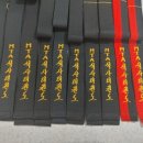 국가대표 MTA 태권도 이미지