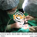 임플란트의모든것