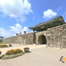 해미-비상-5 이미지