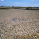 우도면사무소 이미지