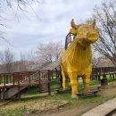 예산유치원 | 충남 / 예산 아이랑 가볼만한 곳 아그로랜드 방문 후기