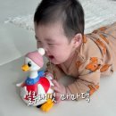 6개월 아기장난감 추천 블루래빗 아장아장 아기오리랑 마마덕