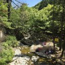 5 | 전남 보성 일림산 철쭉군락지 등산코스 5월산행 철쭉제 후기